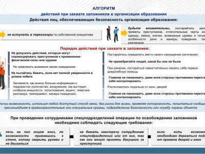 IMG-20240206-WA0012