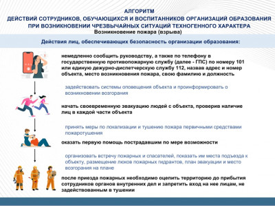 IMG-20240206-WA0021